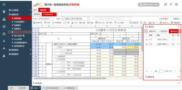 监管报送软件UI设计及EXT开发