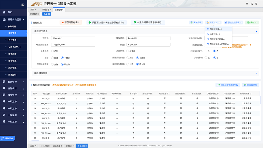 监管报送软件UI设计及EXT开发