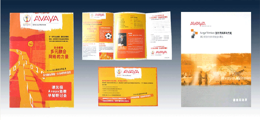 AVAYA通信公司 DM宣传页