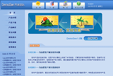 Demosee远程软件 网站设计