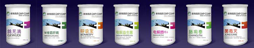群翔鸽药 药品包装设计