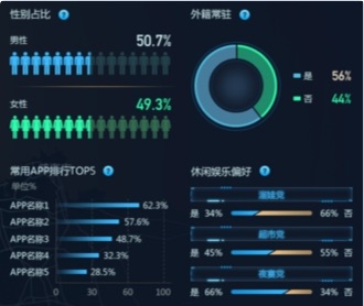 京东数科开发区商业街客流洞察大屏UI设计（保密）