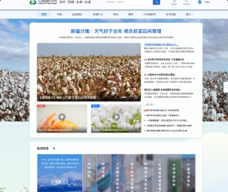 中国棉花网大型国家门户网站交互和视觉设计