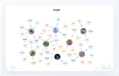交互设计、UI设计、网站设计