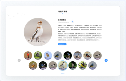 交互设计、UI设计、网站设计