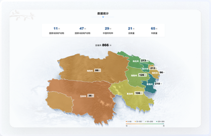交互设计、UI设计、网站设计