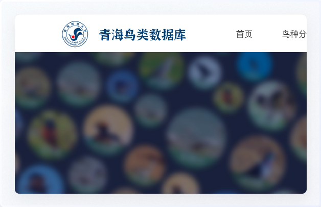 交互设计、UI设计、网站设计