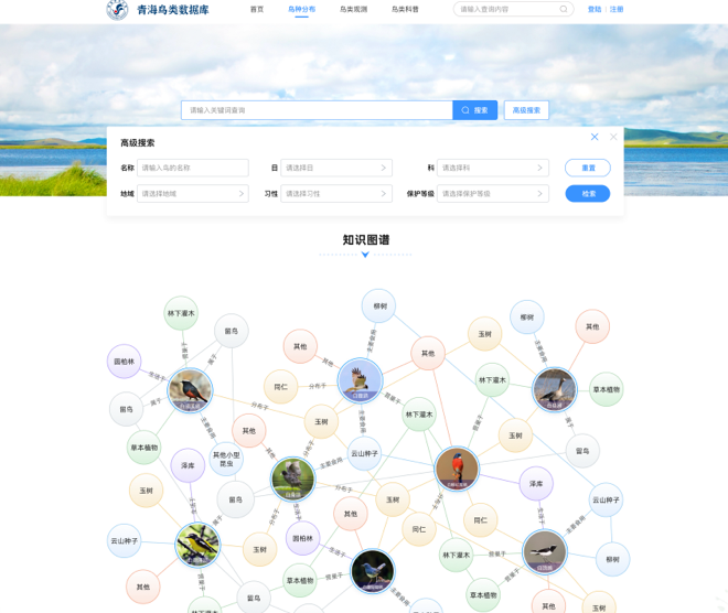 青海鸟类资源库网站交互及UI设计